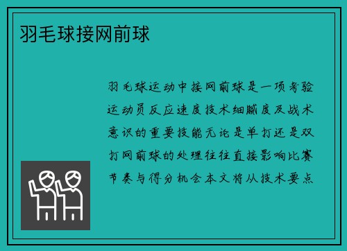 羽毛球接网前球